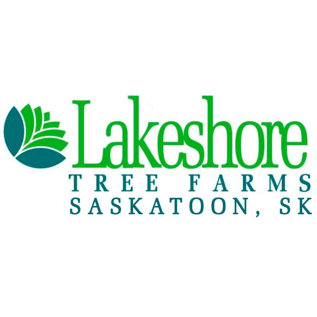 lakeshore 1024x1024